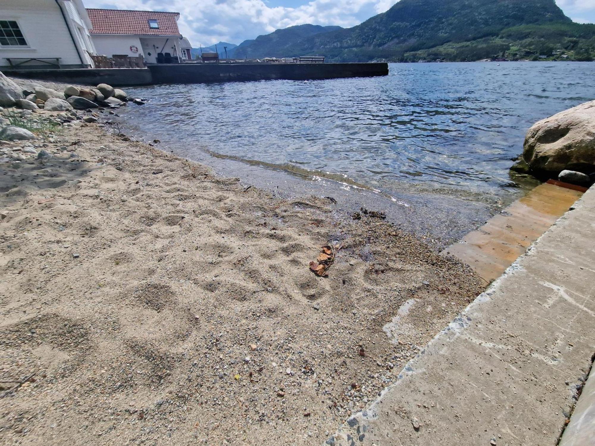 Preikestolen Panorama - Seaside Apartments Jørpeland Dış mekan fotoğraf